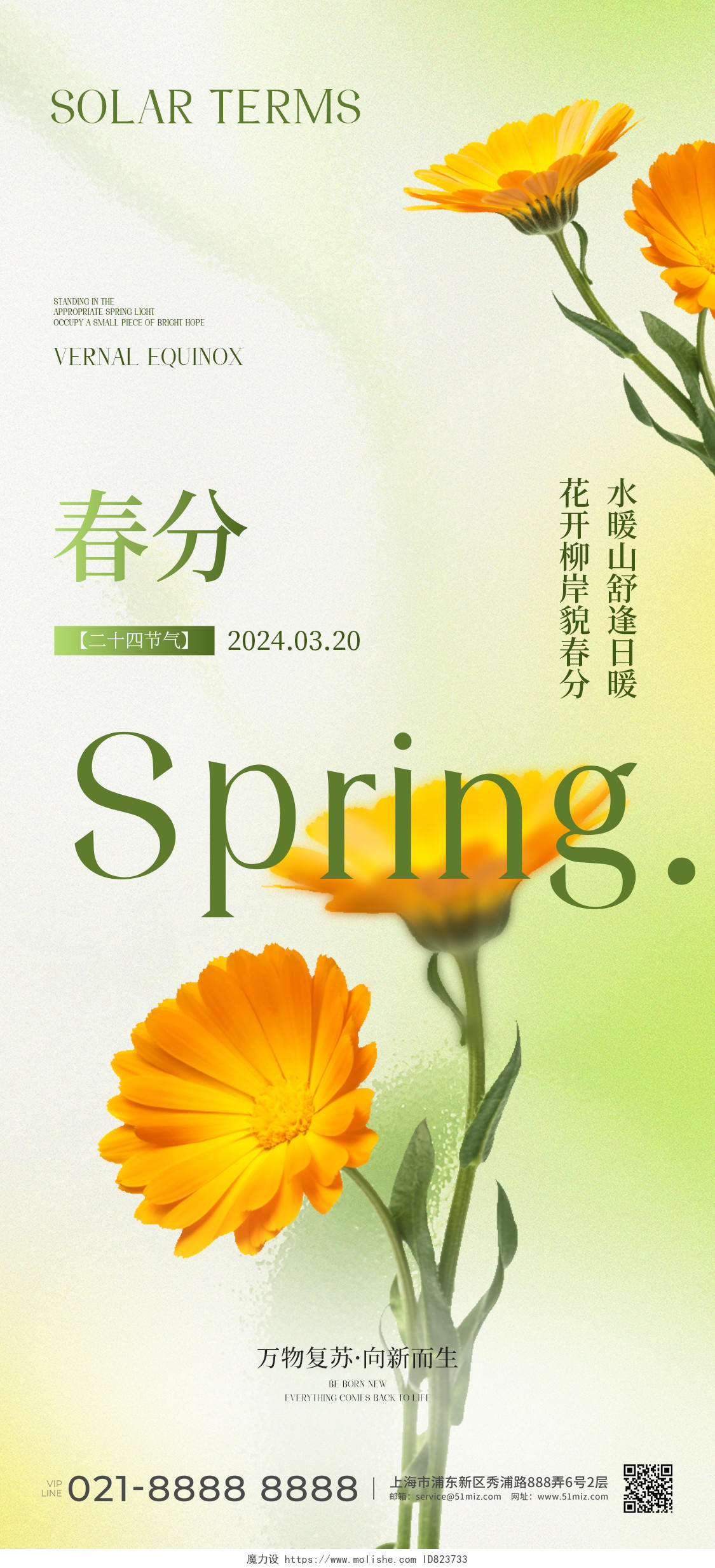绿色清新2024春分节气宣传海报